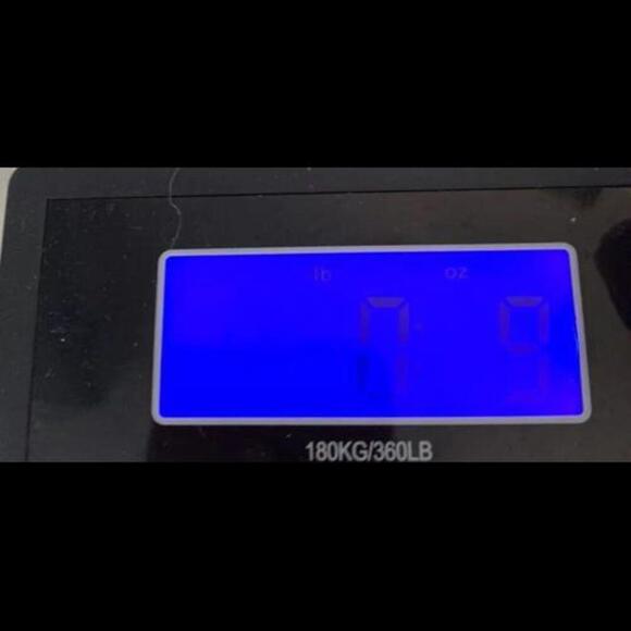 Vintage Relco Blue Rooster Oil Vinegar Cruet Brown Jug Country Kitchen Japan - Picture 10 of 11